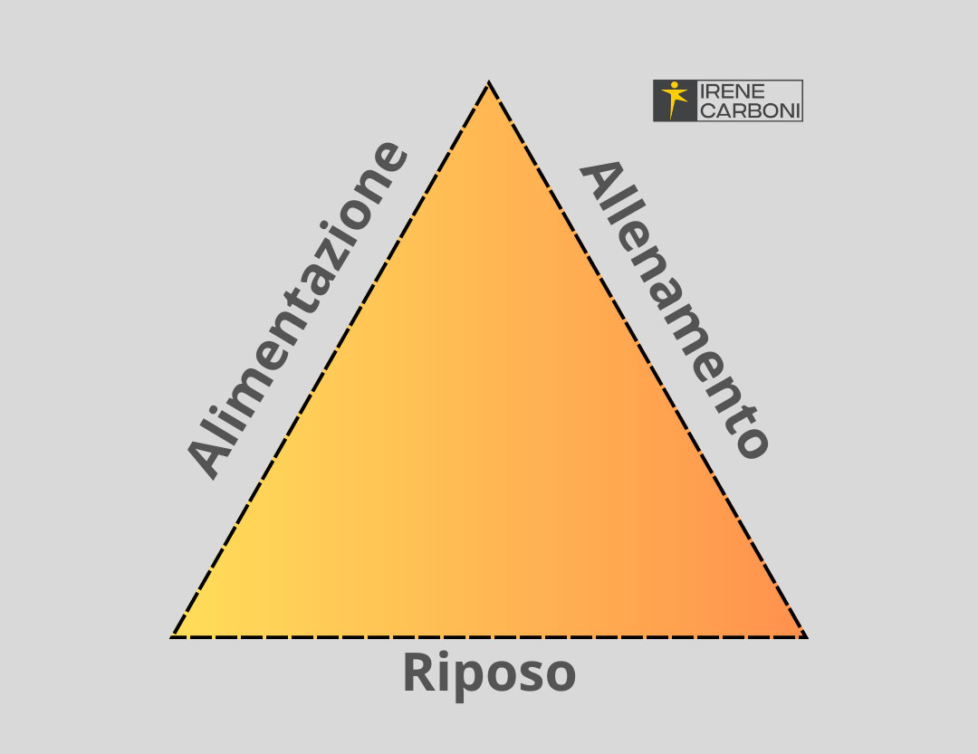 Fig. 1 - Triangolo del benessere